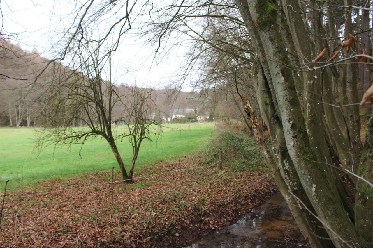 Gaestehaus Herrenmuehle Freudenburg  Buitenkant foto